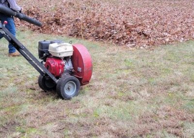 Affordable Landscaping Contractor