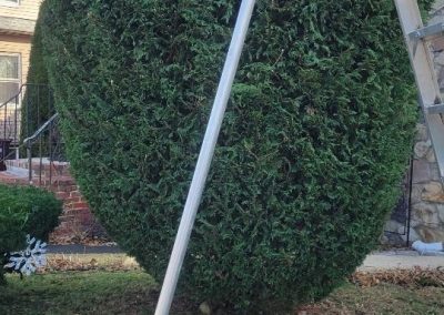 Certified Landscaping Contractor