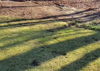 Experienced Landscaping Contractor