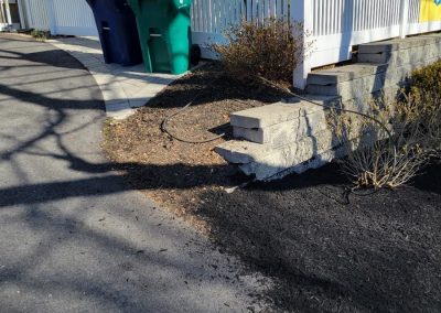 Professional Landscaping Contractor