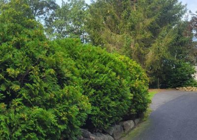 Excellent Commercial Lawn Edging