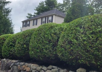 Reputable Commercial Lawn Edging