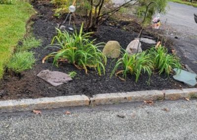 Impeccable Commercial Lawn Edging