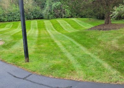 Superior Landscaping Service