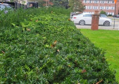 Impeccable Landscaping Service