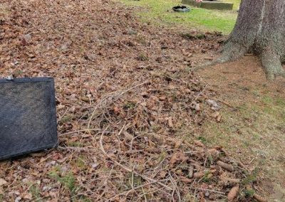 Excellent Landscaping Contractor