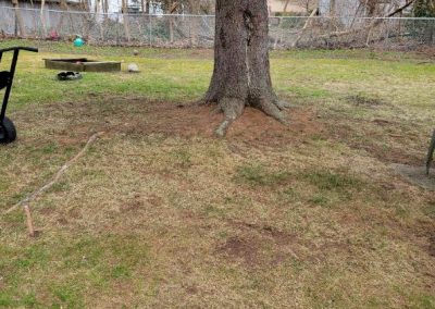 Trusted Landscaping Contractor