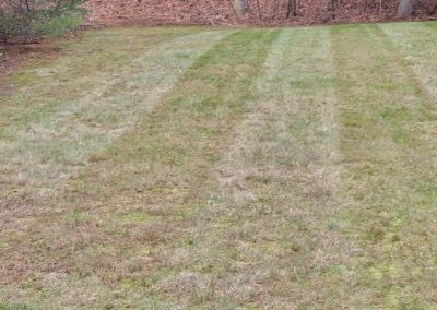 Skilled Landscaping Contractor