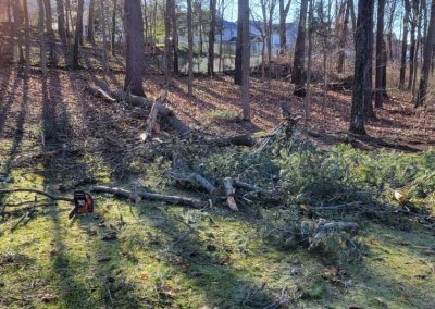 Top-rated Landscaping Contractor