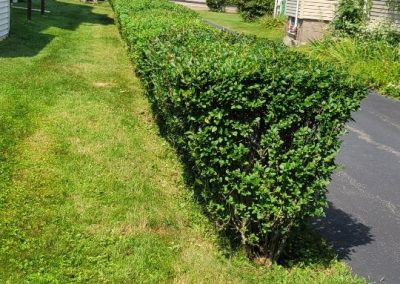 Trusted Landscaping Contractor