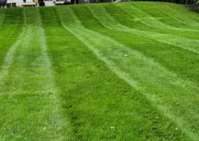 Reputable Landscaping Contractor