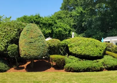 Respected Landscaping Contractor